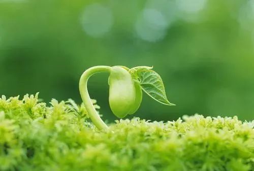 现在，我终于接纳自己是个不完美的妈妈