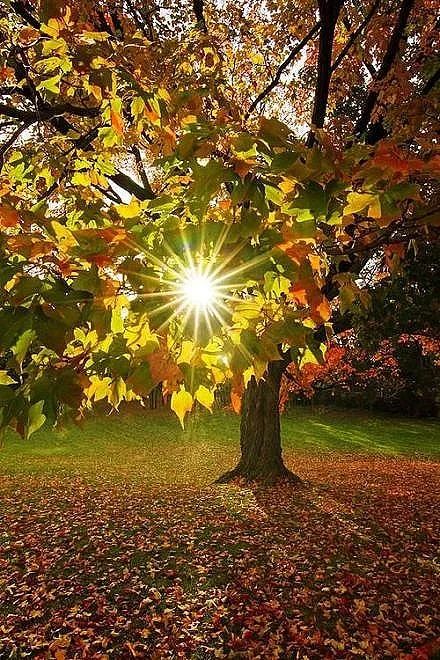 以合宜的心态养育儿女(上)