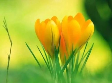 什么样的家庭能够培养出心灵健康的孩子