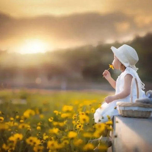 初光全人发展育儿实践课